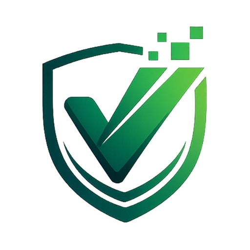 VN Payments Logo